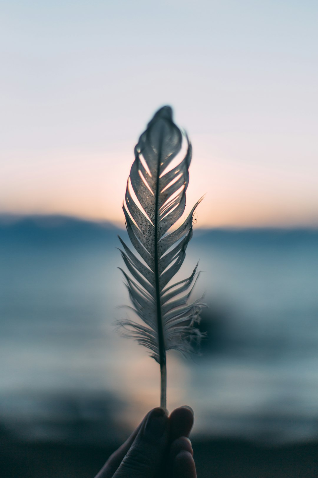 services-06 tilt-shift-lens-photography-of-person-holding-white-feather-h43vqtlnv7u